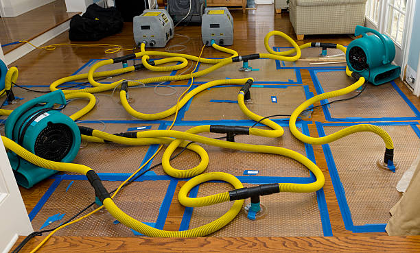 Professional Structural Drying And Dehumidification technician working in Eglin AFB, FL